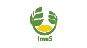 Instituto Imus